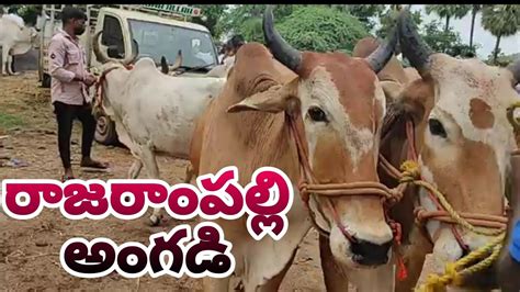 Bulls Market Edla Angadi Rajarampalli Angadi Youtube