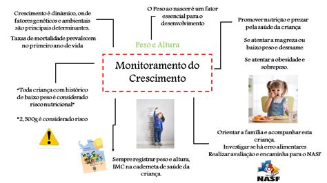 Mapa Conceitual Saude Da Criança E Do Adolescente Saúde Da Criança E