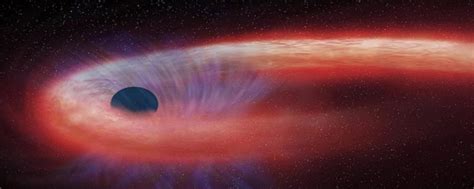 Tidal Disruption Events And What They Can Reveal About Black Holes And