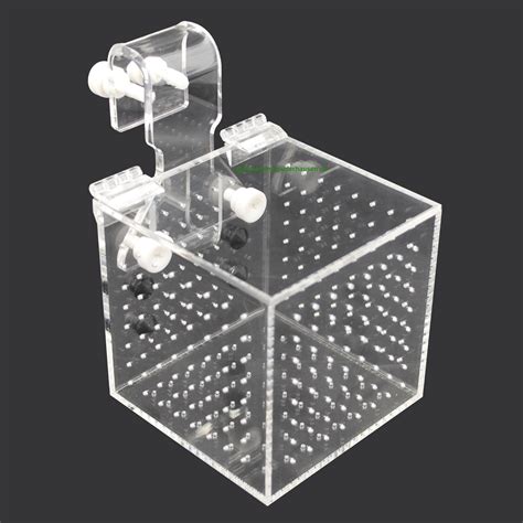 Aquarium Isolationsbox Quarant Nebox Ablaichkasten Aufzuchtkasten