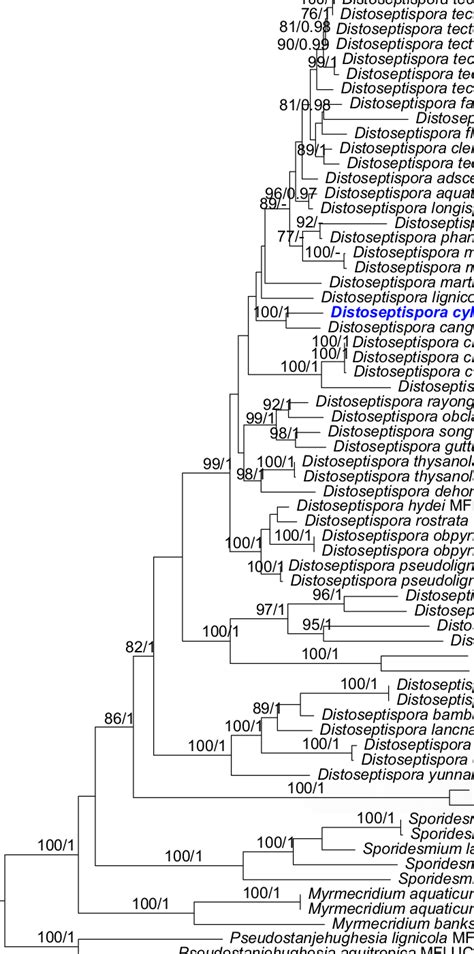 Phylogram Generated From Maximum Likelihood Analysis Based On Combined