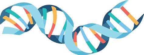 Dna Clip Art: Over 5,193 Royalty-Free Licensable Stock Illustrations & Drawings | Shutterstock