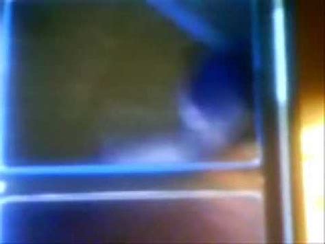 Sexy Gay Tanga Boy Youtube