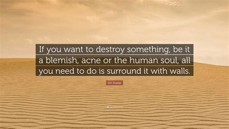 Elif Shafak Quote If You Want To Destroy Something Be It A Blemish