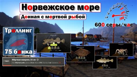Донная оснастка с мертвой рыбой • Как правильно ловить на мертвую рыбу ...