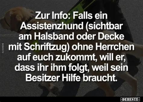 Zur Info Falls Ein Assistenzhund Sichtbar Am Halsband Oder Decke Mit