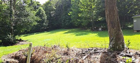 Belington Barbour County Wv Undeveloped Land For Sale Property Id