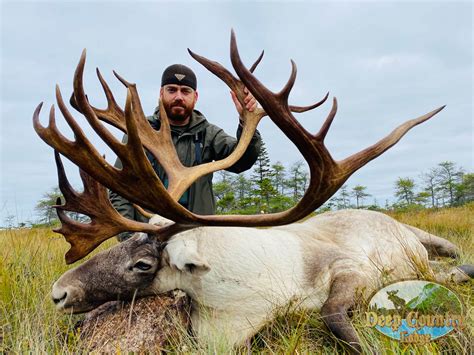 Hunting Packages Deep Country Lodge Trophy Woodland Caribou Hunting