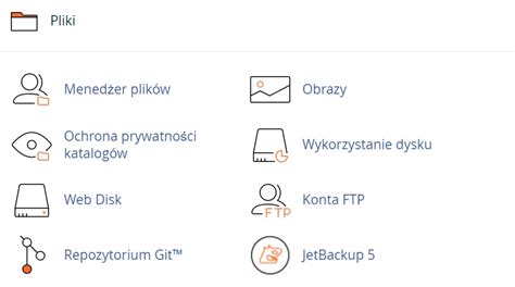 Cpanel Co Daje Jakie Ma Funkcje Domenomania Pl