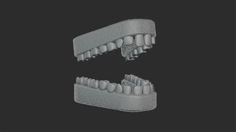 Human Teeth 3d Model Cgtrader