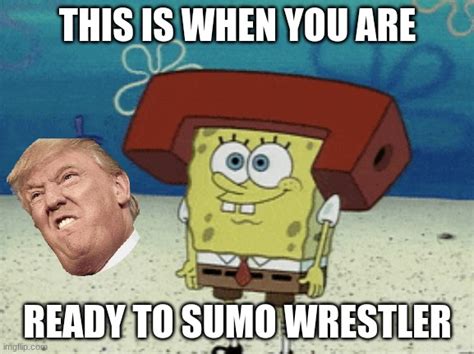 Sumo Imgflip