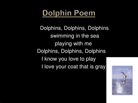 Dolphins