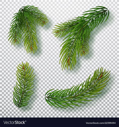 Christmas tree branches set for a decor Royalty Free Vector