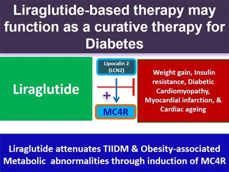 Liraglutide Attenuates Tiidm And Obesity Associated Metabolic Abnormalities Through Induction Of