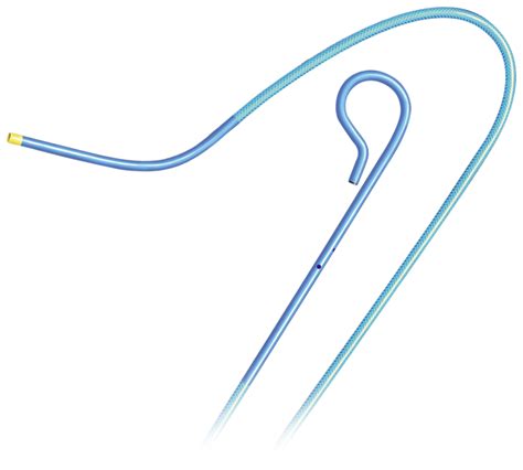 Cordis Tempo Diagnostic Catheter