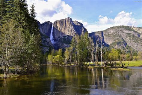 Stan Kalifornia Rzeka Las Park Narodowy Yosemite Stany Zjednoczone