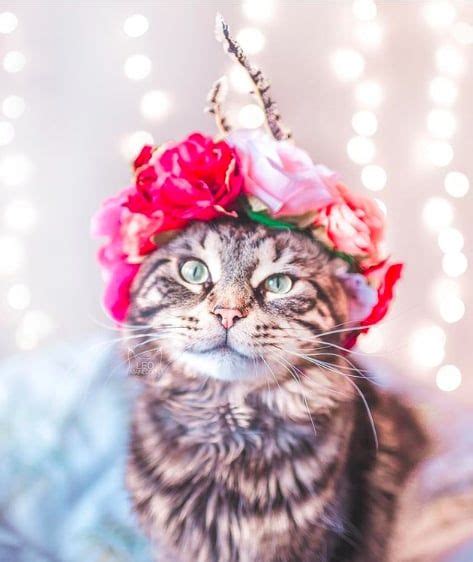 This Woman Takes The Most Breathtaking Photos Of Her Cats Wearing Floral Crowns Like True Queens