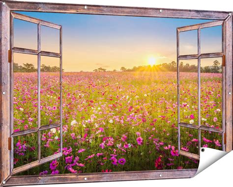 Gards Affiche De Jardin Champ De Fleurs Transparent Avec Kosmos Rose