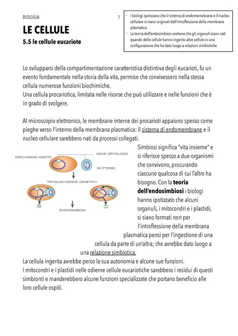 Le Cellule 5 Riassunto Personale Del Capito Sopraindicato Del Testo