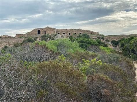 A Guide To Caprera Island, Sardinia: 8 Best Beaches And More