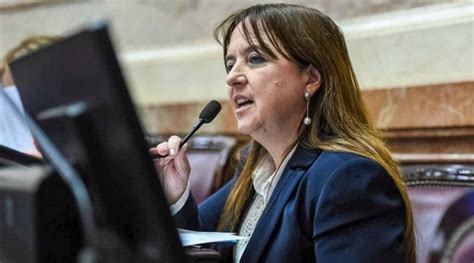 El Dnu De Milei Legisladora De R O Negro Presenta Un Amparo Contra La