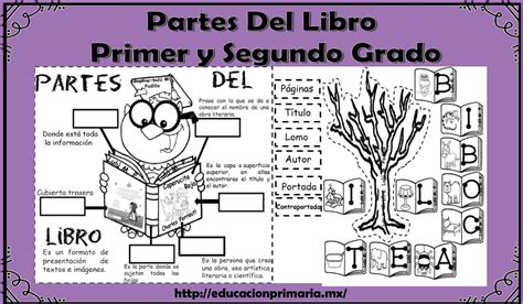 Genial material educativo para enseñar y aprender las partes del libro