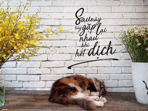 Top C U N I Hot Trend Tr Xanh Kh Ng C N N Thu N L M T Lo I Tr Bloganchoi