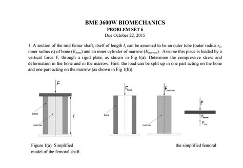 Solved Bme W Biomechanics Problem Set Due October A