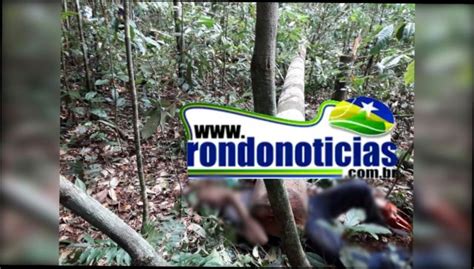 Homem Morre Esmagado Por Rvore Ap S Cortar O Tronco Em Rond Nia