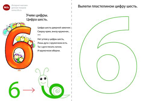 Знакомство с цифрой 6: прописи, раскраски, картинки для детей ...