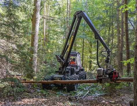 Schwachholz L Sst Sich Mit Gro En Maschinen Kaum Rentabel Ernten Und