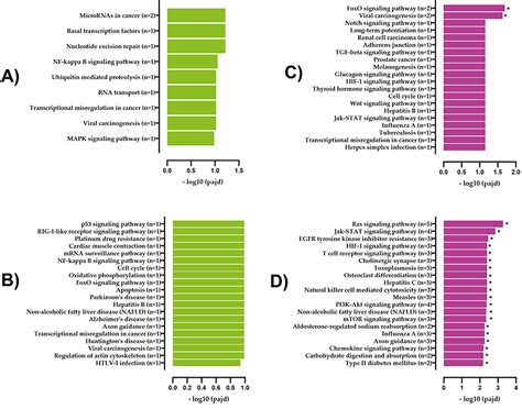 Genome Wide Identification Of LncRNA MRNA For T2DM PGPM