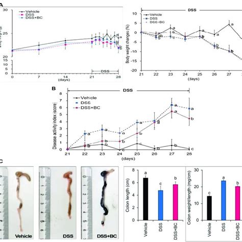 Effects Of Blackcurrant On The Clinical Symptoms Of DSS Induced