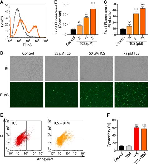 Tcs Increases Intracellular Ca²⁺ Levels A Representative Histogram Of