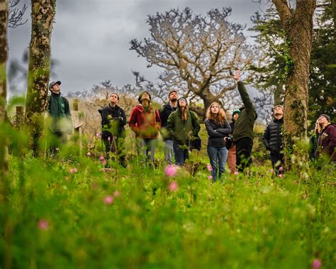 Get involved in the Forest Rising project to help our Plymouth Sound