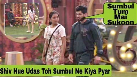 Bigg Boss 16 Sumbul Ne Diya Sukoon Shiv Ko Jo Hue Dukhi Dard Mai Mili