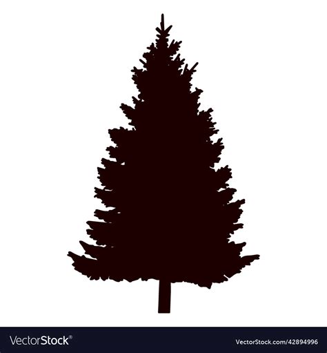 Pine Tree Silhouette Pine Tree High Quality Vector Image