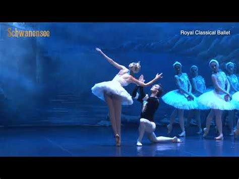 Royal Classical Ballet Schwanensee 2022 YouTube