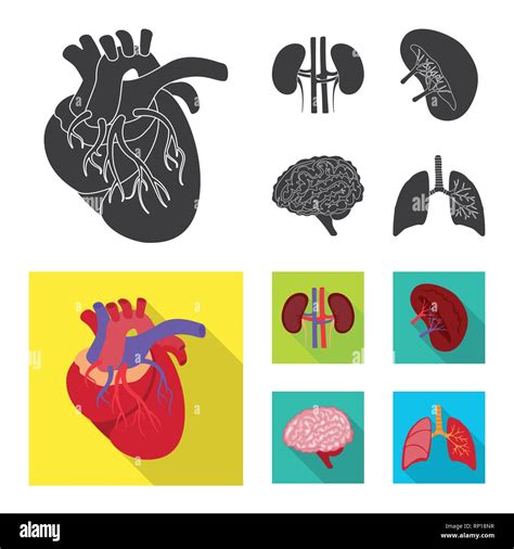 Vector Design Of Biology And Scientific Symbol Collection Of Biology