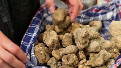 What Is A Truffle And What Does Truffle Taste Like