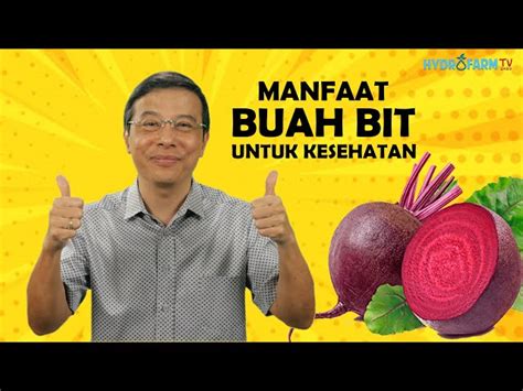 Temukan Manfaat Buah Bit Yang Jarang Diketahui