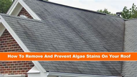 How To Remove And Prevent Algae Stains On Your Roof