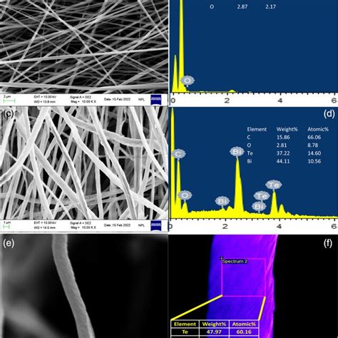 Field‐emission Scanning Electron Microscope Fesem Images And