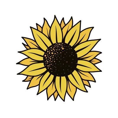 Sunflower Vector Art, Icons, and Graphics for Free Download