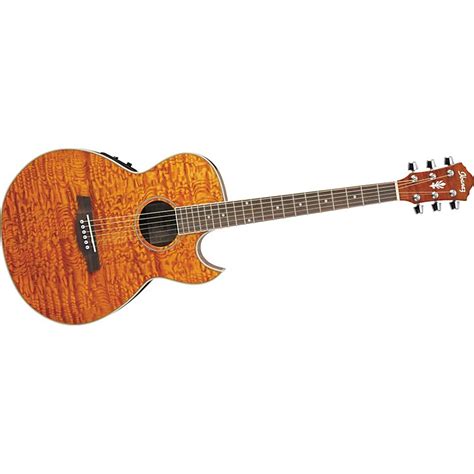 Ibanez AES10E Mini Jumbo Acoustic-Electric Guitar | Music123