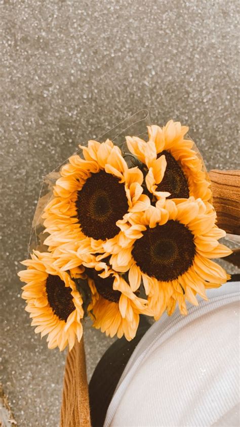 Sunflower Inspo