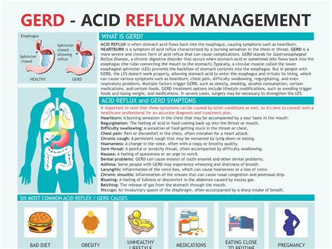 Gerd Allowed Foods Acid Reflux Chart Heartburn Management Chart Digital Download Printable