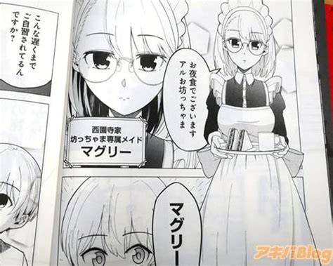 メイドさんは吸血鬼1巻 「少年と、不器用でhな吸血鬼メイドとの“純愛”の物語」 アキバblog