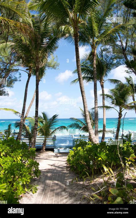 Paradise Island beach Stock Photo - Alamy