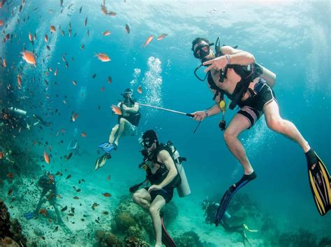 Diving in Koh Tao: 2024 Traveller’s Guide